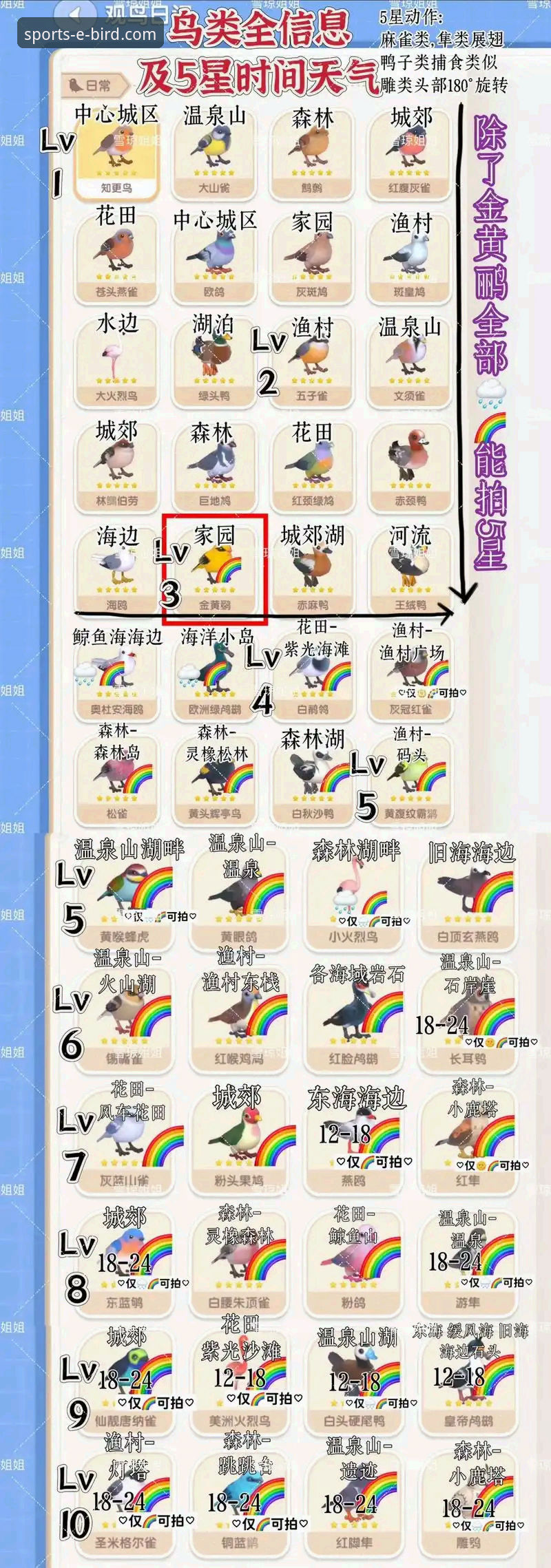 小鸟体育BIRD数据使用技巧完整指南:从入门到精通的创新探索