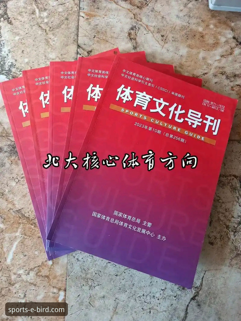 小鸟体育历史数据如何成为赛事分析的核心利器？