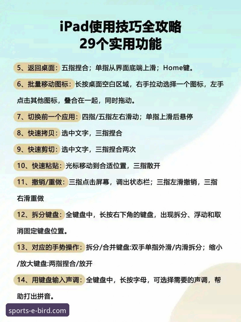 小鸟体育电脑版安装教程:从零开始的实用指南,轻松掌握赛事数据查询技巧