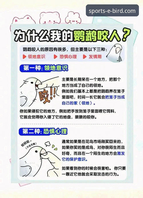 资深用户揭秘:小鸟体育网页版不容错过的5大核心功能与3个使用技巧