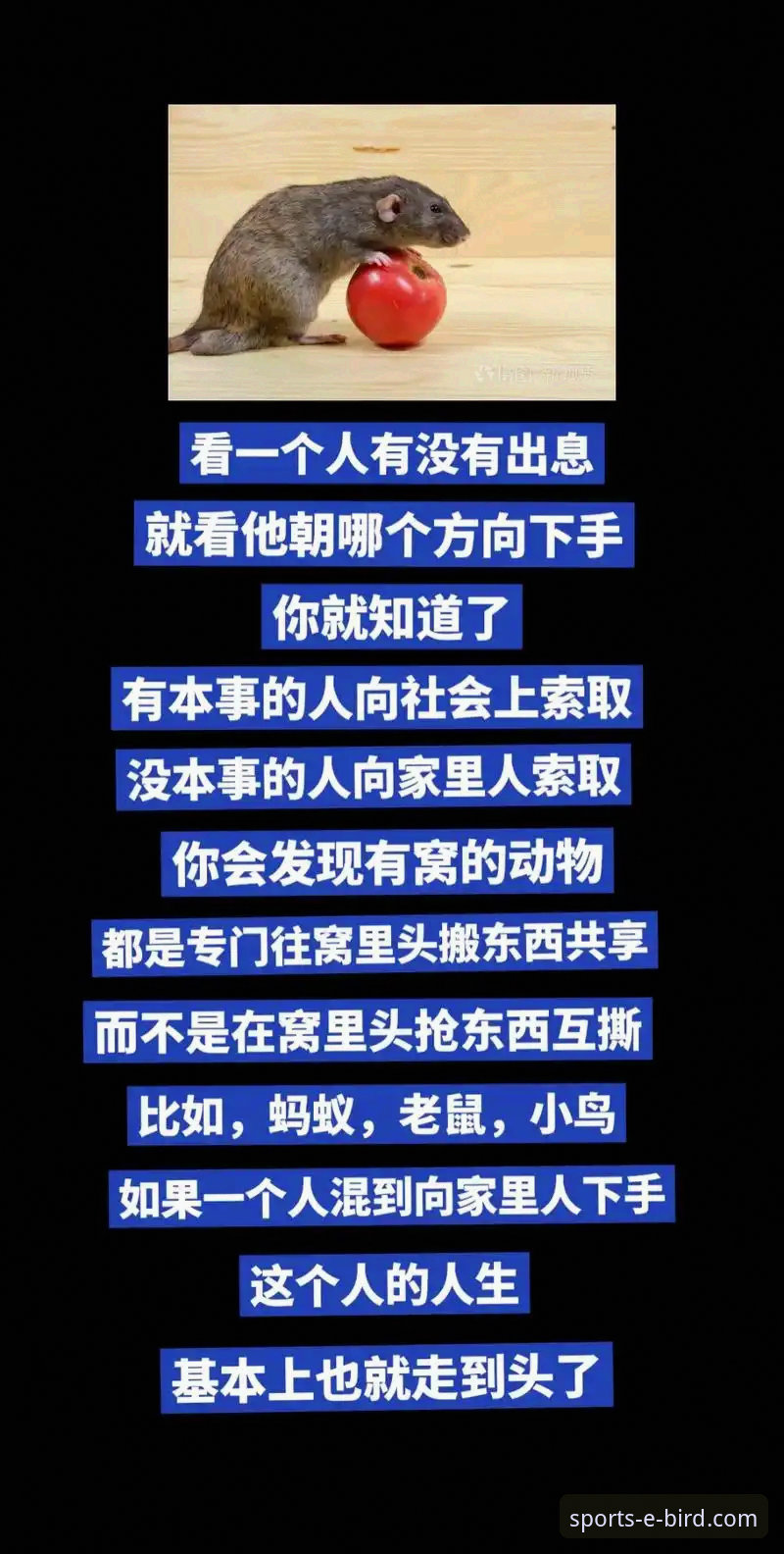 资深用户分享:小鸟体育数据平台安全吗?我的实战使用心得